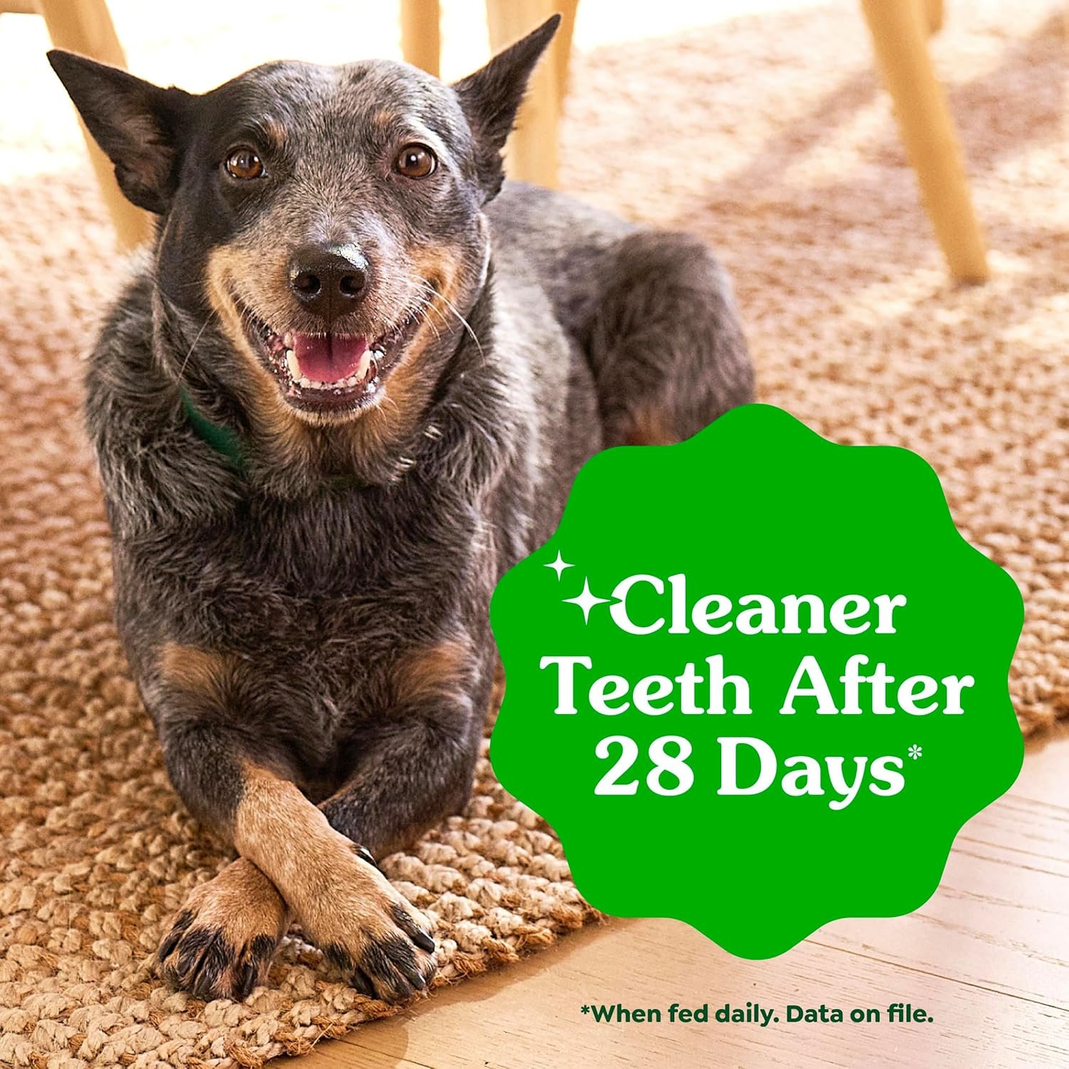 Greenies Veterinarian-Recommended Adult Natural Dental Dog Treats Teenie Size, Dog Dental Chews, Original Flavor, 12 oz. Pack, 43 Count - Image 3